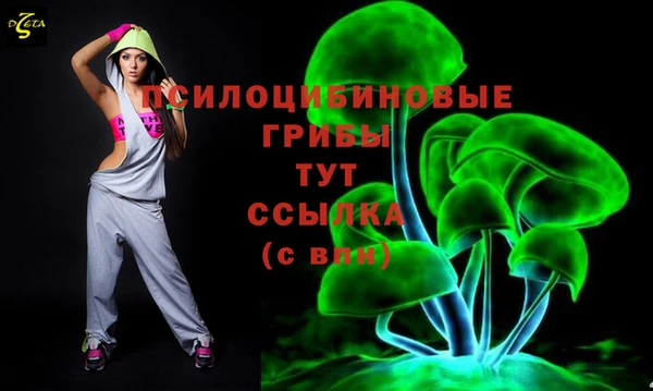 гашик Баксан