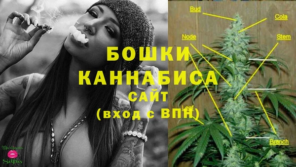 ПСИЛОЦИБИНОВЫЕ ГРИБЫ Семикаракорск