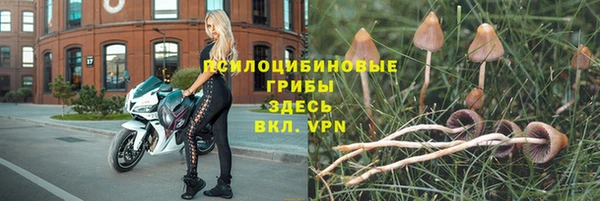 гашик Баксан