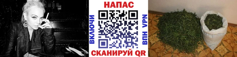 маркетплейс какой сайт  Лыткарино  Каннабис Amnesia 